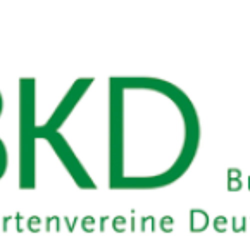 BKD informiert 11/2026