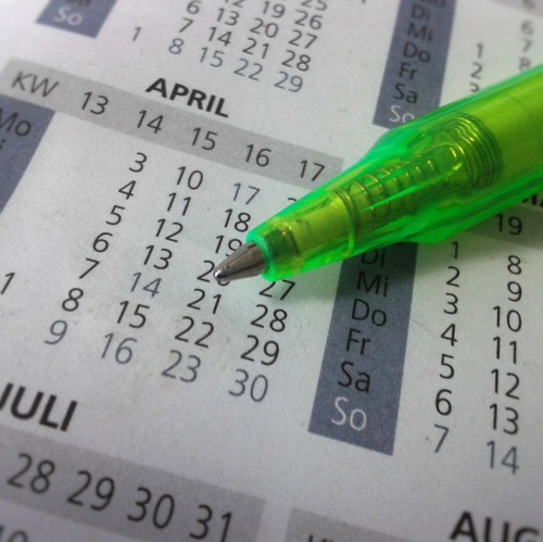 Wilde Früchtchen im Volkspark Potsdam
