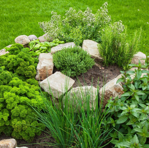 Gartenseminar: Kräuterspirale, Hochbeet und Trockenmauer