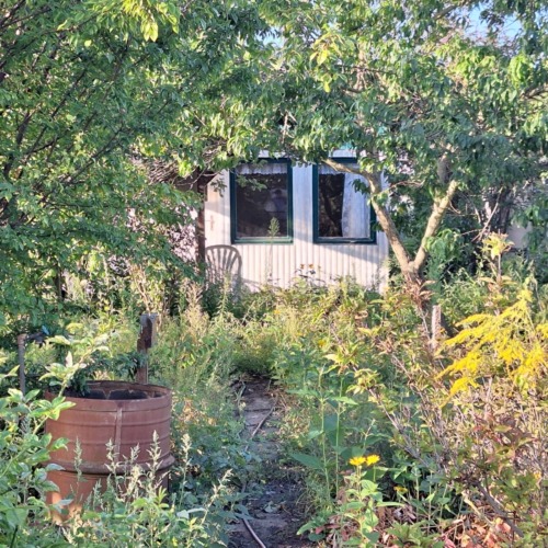 Ein Garten wird zum Klassenzimmer