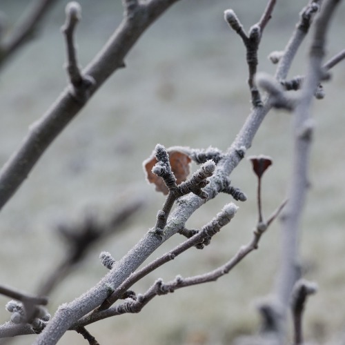 Wohlverdiente Winterpause nutzen