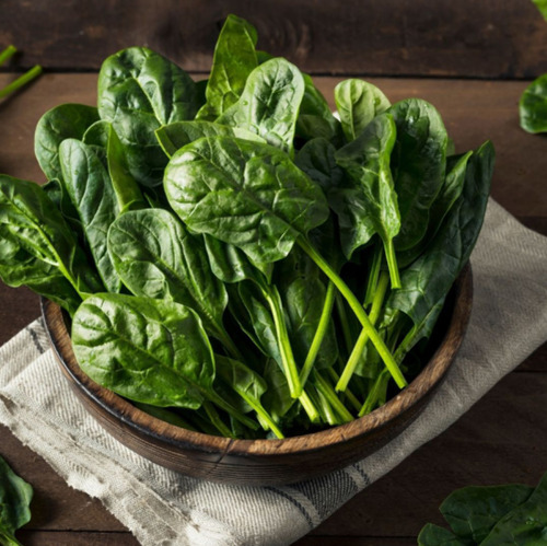 Ernte und Nachpflanzung im Spätsommerbeet